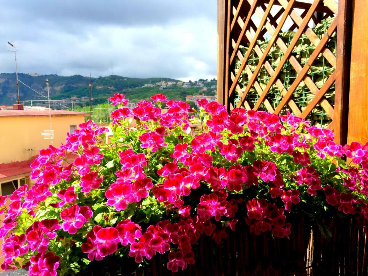Suite Delicia Apartment - Appartamento Con Terrazza ナポリ エクステリア 写真