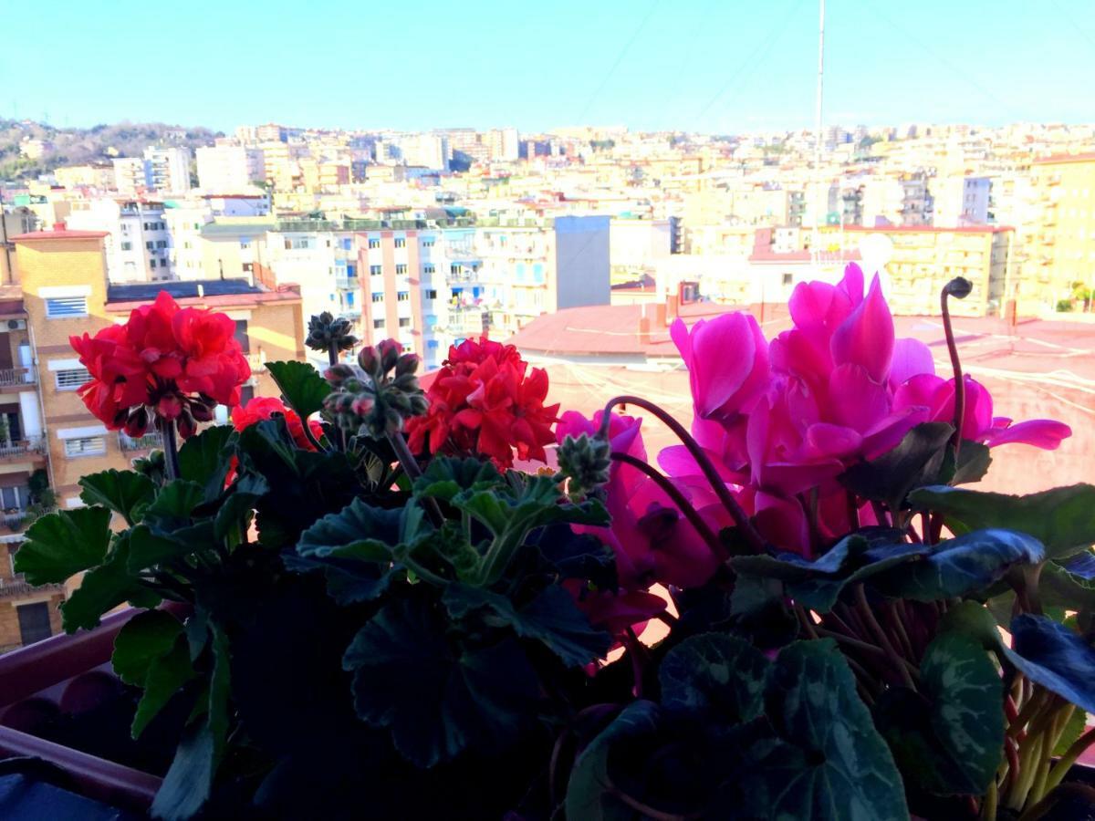 Suite Delicia Apartment - Appartamento Con Terrazza ナポリ エクステリア 写真